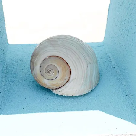 Casa Versomare Rooftop * 加利亚诺德尔卡波