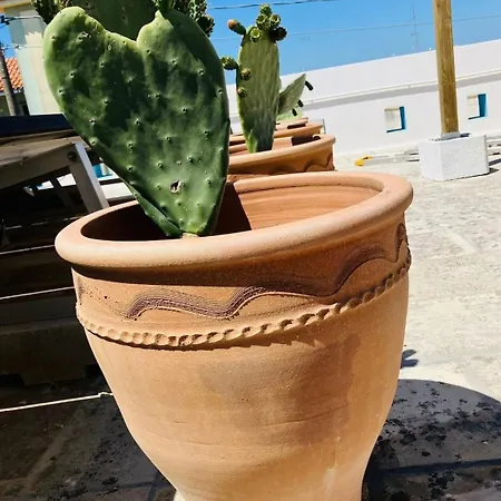 펜션 Casa Versomare Rooftop